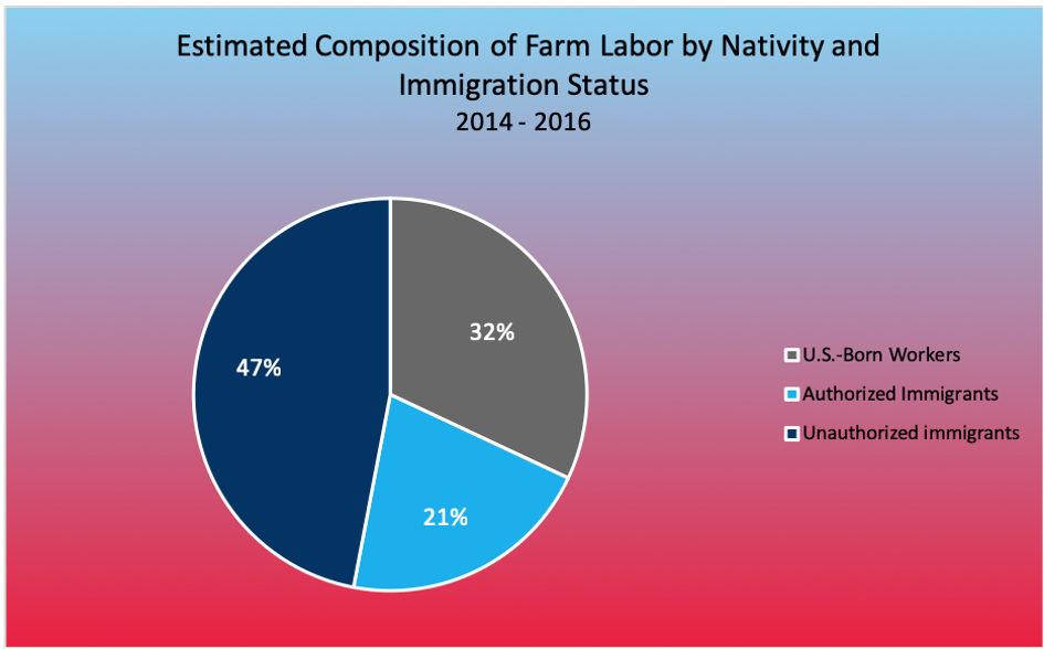 immigrants-as-economic-contributors-immigrants-fill-the-temporary