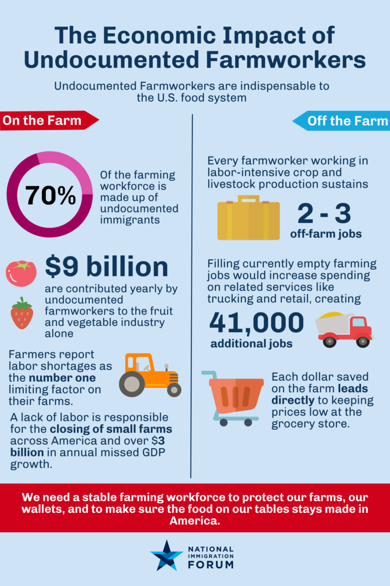 The Economic Impact Of Undocumented Farmworkers National Immigration