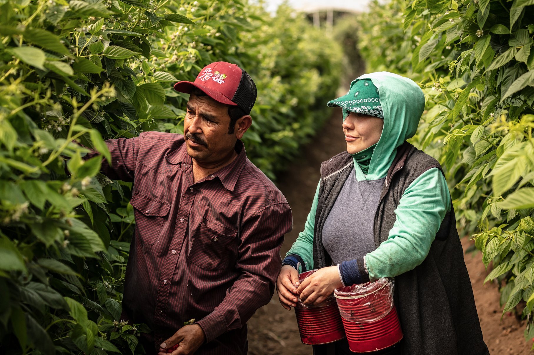 IMAGE: Zenaida and Hector on Driscoll's farm